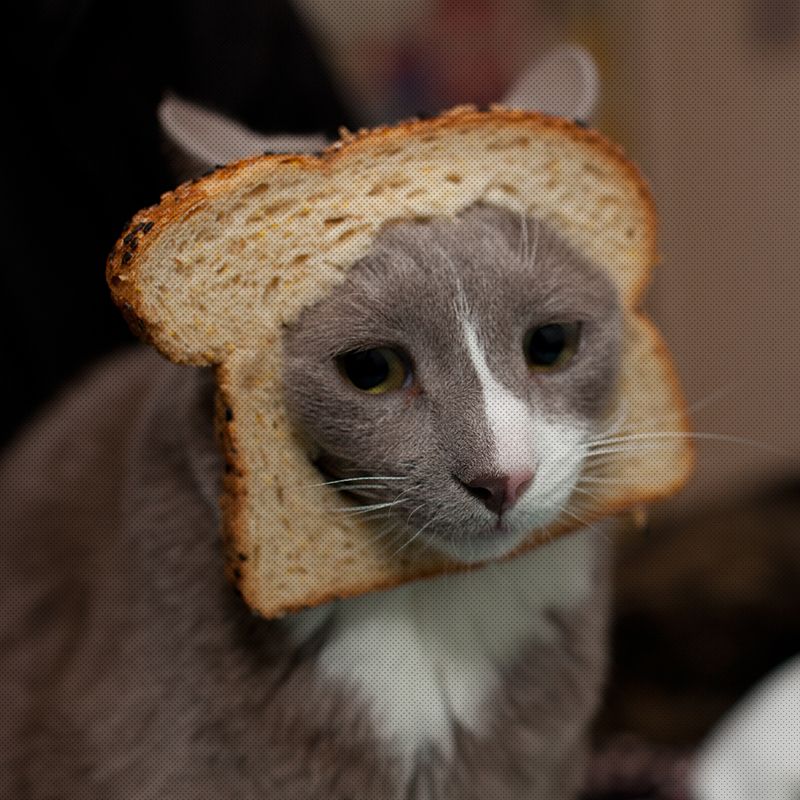 Новая система маршрутизации перевозок грузов : (Опыт Белорус. ж. д.)